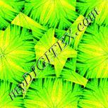 Colour:D