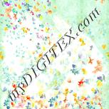 Colour:K