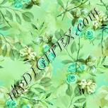 Colour:K