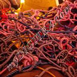 Colour:J