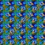 Colour:F