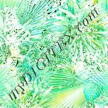 Colour:K