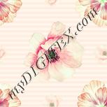 Colour:K