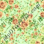 Colour:K