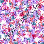 Colour:B