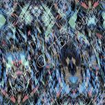 Colour:F