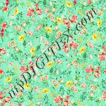 Colour:K