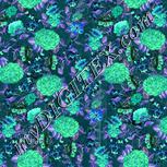 Colour:F