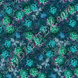 Colour:F