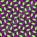 Colour:C