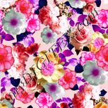 Colour:B