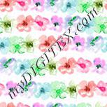 Colour:B
