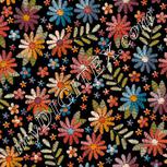 Colour:A