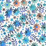 Colour:F
