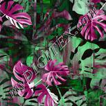 Colour:B