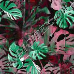 Colour:C