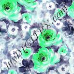 Colour:C