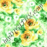 Colour:K