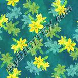 Colour:K