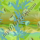 Colour:K