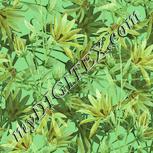 Colour:K