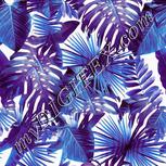 Colour:C