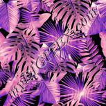 Colour:F