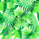 Colour:K
