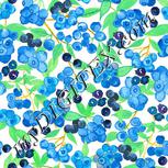 Colour:A