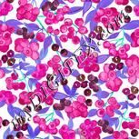Colour:C