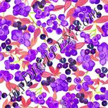 Colour:D