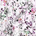 Colour:B