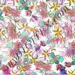 Colour:A