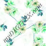 Colour:C