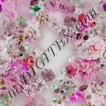 Colour:B