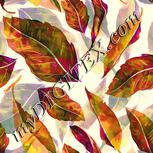 Colour:A