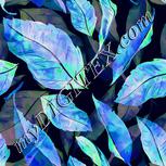 Colour:F