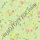 Colour:K