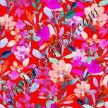 Colour:B