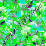 Colour:C