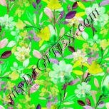 Colour:D