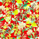 Colour:K