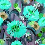 Colour:C