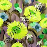 Colour:D