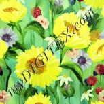 Colour:K