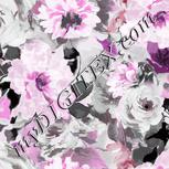 Colour:B