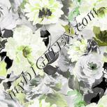 Colour:D