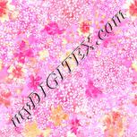 Colour:B