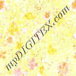 Colour:K
