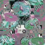 Colour:B